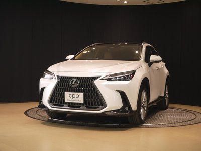 LEXUS NX - 1