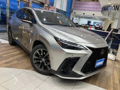 LEXUS NX - 4