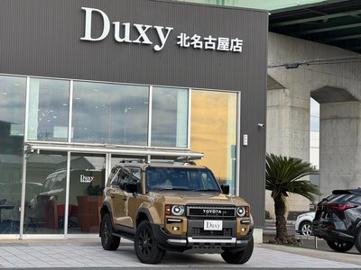 TOYOTA LAND CRUISER 250 - 9