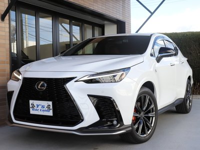 LEXUS NX - 10