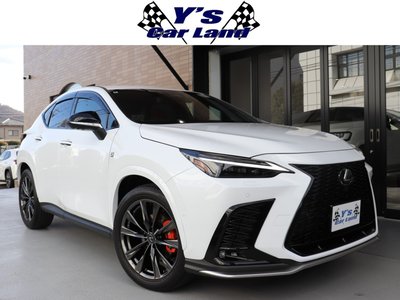 LEXUS NX - 1