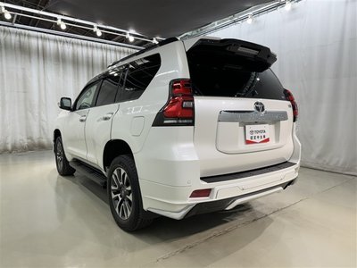 TOYOTA LAND CRUISER PRADO - 7