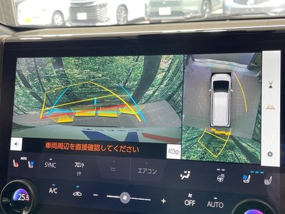 2024 Toyota ALPHARD 照片 7