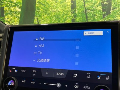 2024 Toyota ALPHARD — миниатюра 37