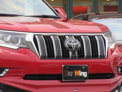 TOYOTA LAND CRUISER PRADO - 7