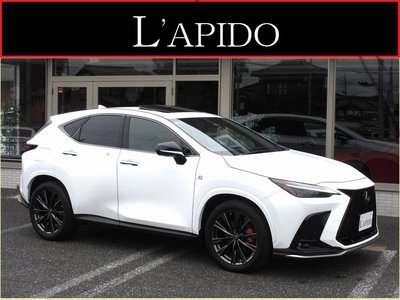 LEXUS NX - 1