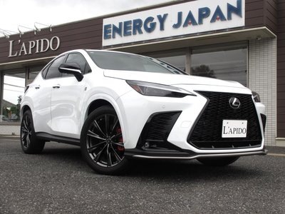 LEXUS NX - 8