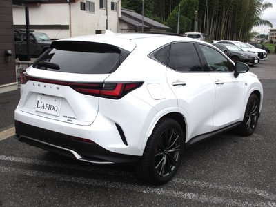 LEXUS NX - 10