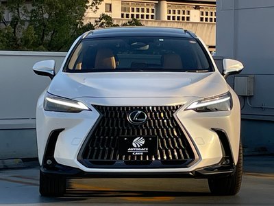 LEXUS NX - 6