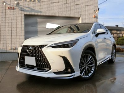 LEXUS NX - 2