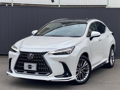 LEXUS NX - 3