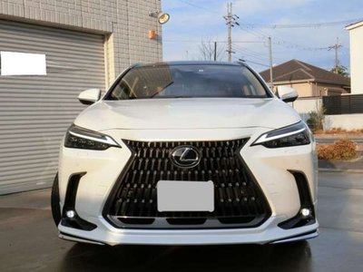 LEXUS NX - 4
