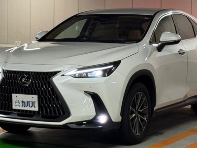 LEXUS NX - 1