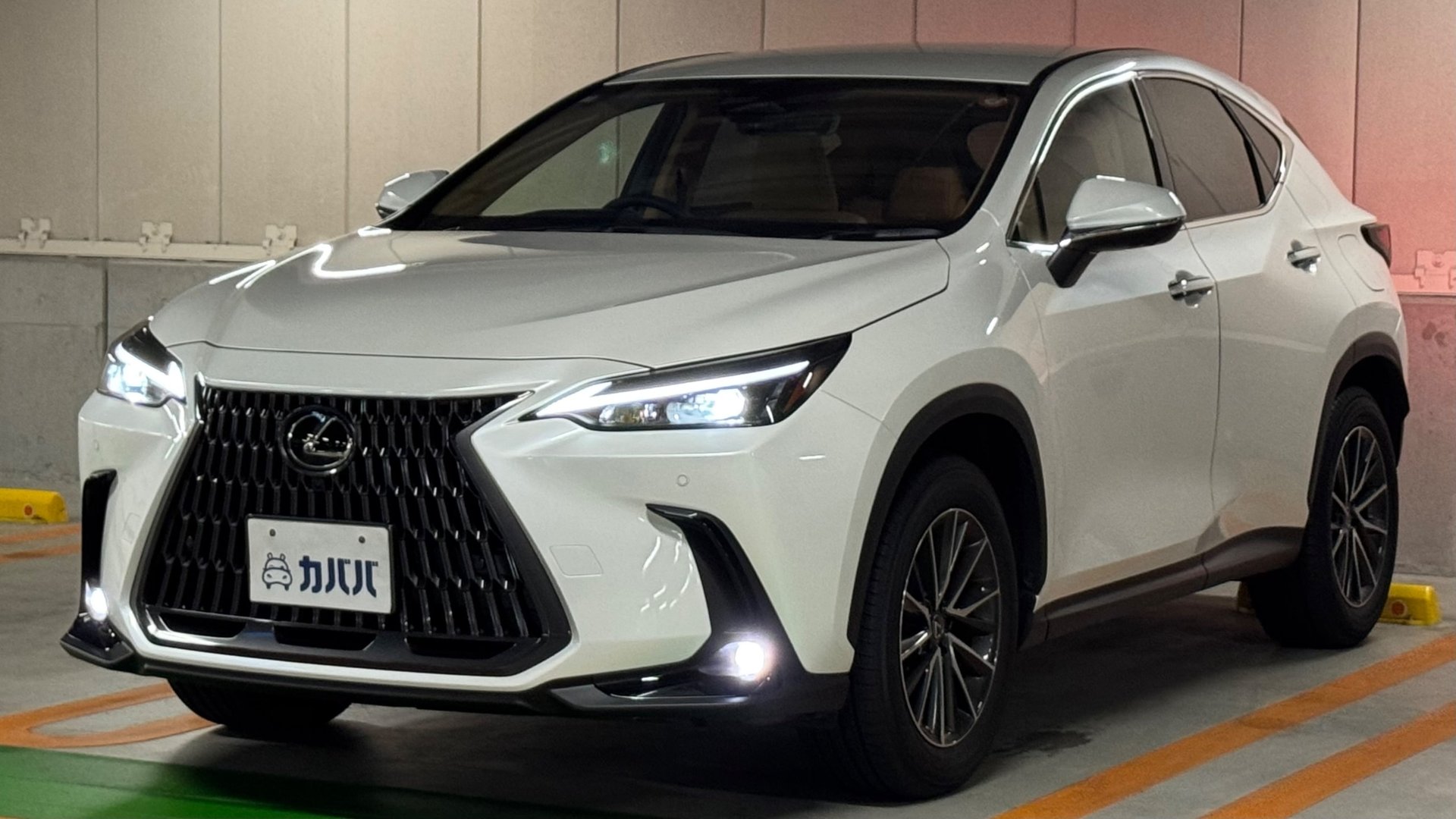 LEXUS NX - View 1