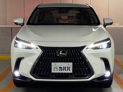 LEXUS NX - 2