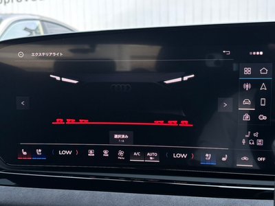2025 AUDI S5 AVANT 缩略图 27