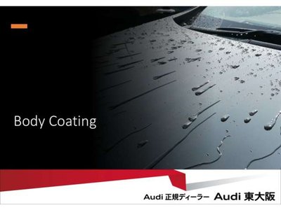 2025 AUDI S5 AVANT 缩略图 61