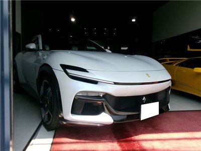 FERRARI PUROSANGUE - 6