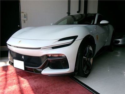 FERRARI PUROSANGUE - 1