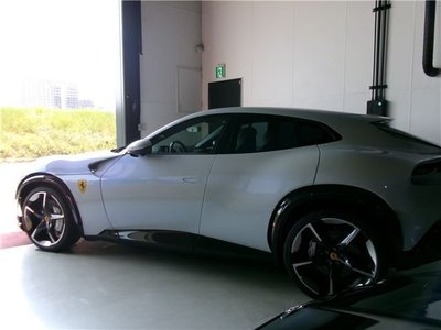 FERRARI PUROSANGUE - 7