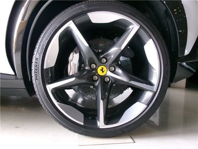 FERRARI PUROSANGUE - 9