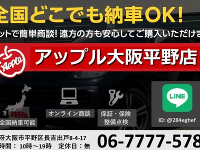 TOYOTA LAND CRUISER 300 - 8