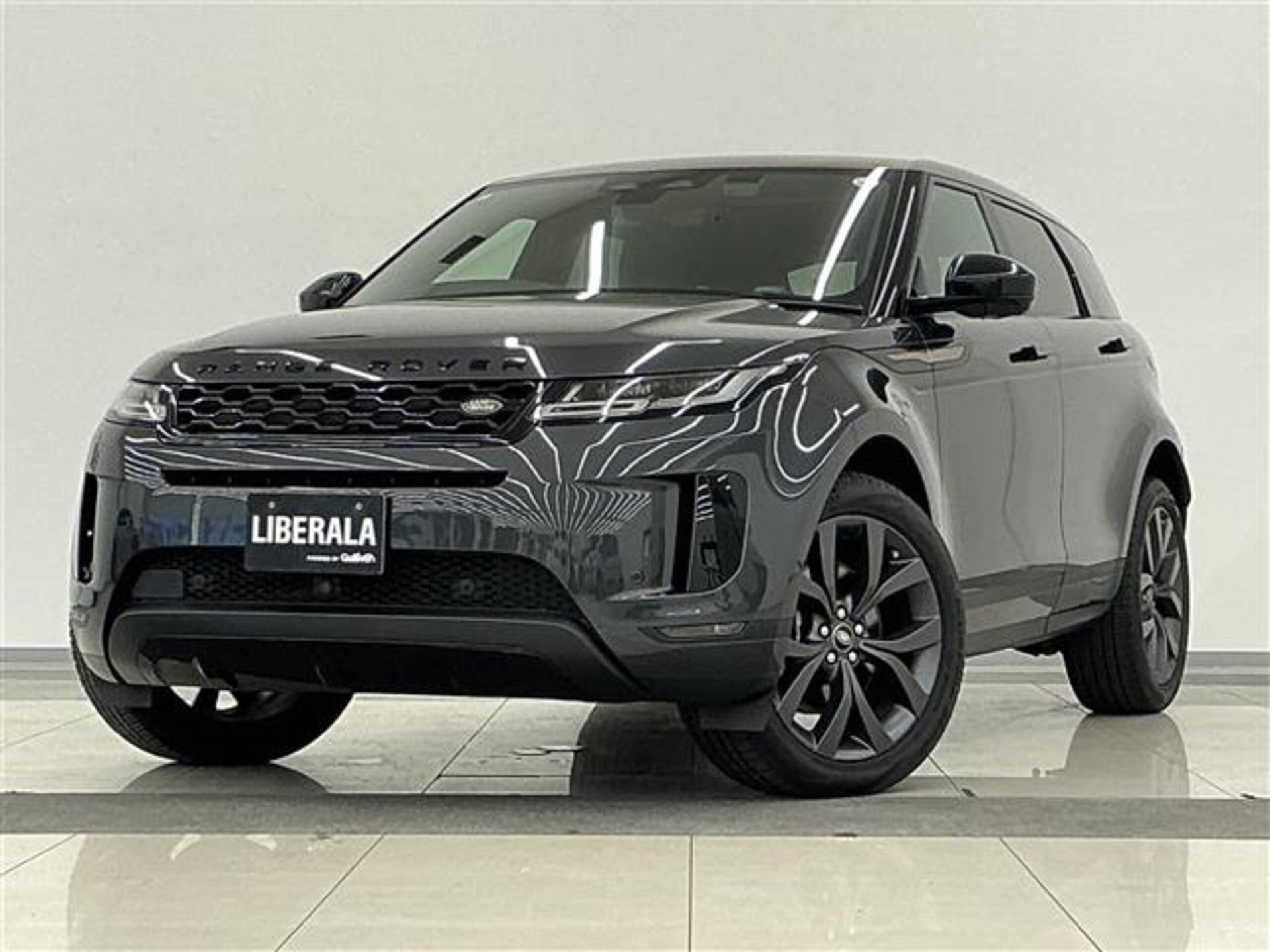 LAND ROVER RANGE ROVER EVOQUE - View 1