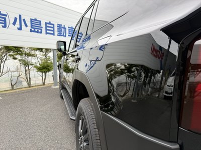 TOYOTA LAND CRUISER 250 - 9