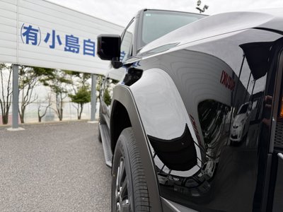 TOYOTA LAND CRUISER 250 - 5