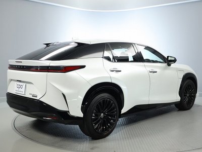 2023 Lexus RZ 照片 10