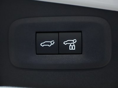2023 Lexus RZ 照片 8