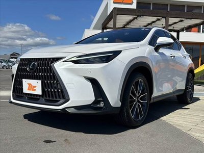 LEXUS NX - 10