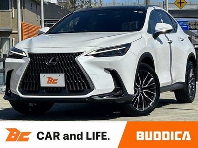 LEXUS NX - 1