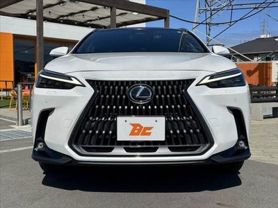 LEXUS NX - 9