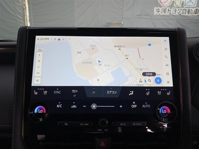 2025 TOYOTA ALPHARD 缩略图 31