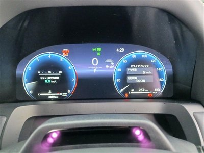 2025 TOYOTA ALPHARD 缩略图 29