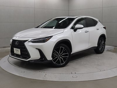LEXUS NX - 1