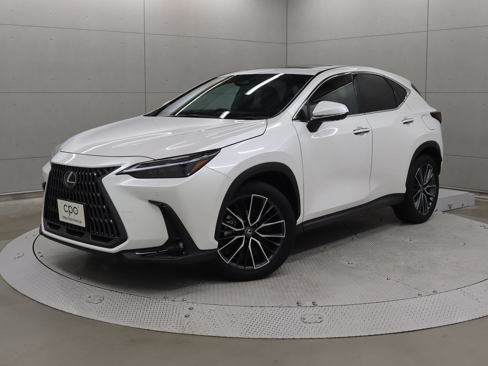 LEXUS NX - View 1