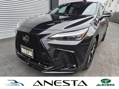 LEXUS NX - 1