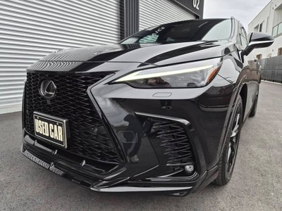 LEXUS NX - 4
