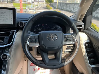 2025 Toyota LAND CRUISER 300 缩略图 20