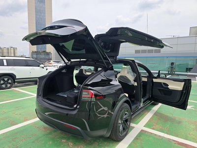 TESLA MODEL X - 9