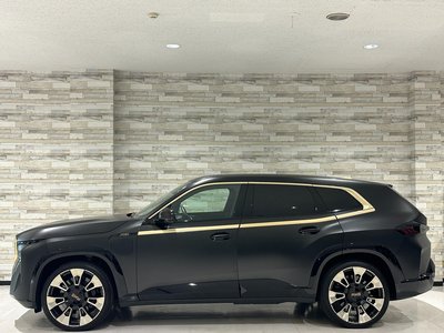 2023 BMW XM 缩略图 19