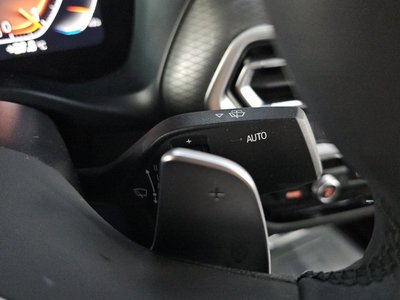 2025 BMW X4 缩略图 28