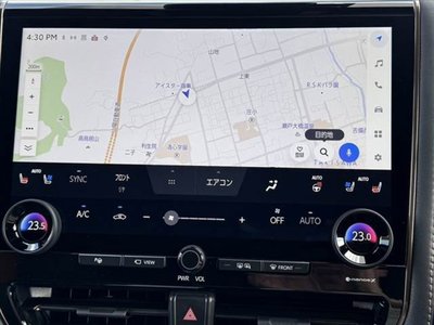 2025 TOYOTA ALPHARD 缩略图 21