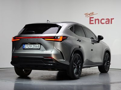 LEXUS NX - 6