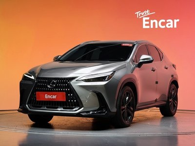 LEXUS NX - 1
