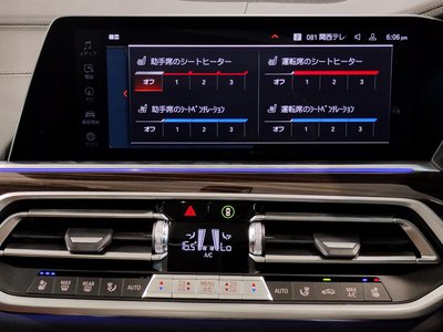 2023 BMW X6 缩略图 55