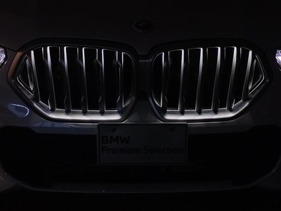 2023 BMW X6 缩略图 15