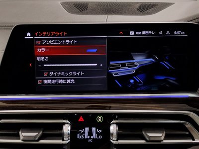 2023 BMW X6 缩略图 60